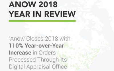 Anow 2018 Year in Review