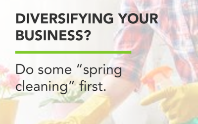 Diversifying your business? Do some “spring cleaning” first