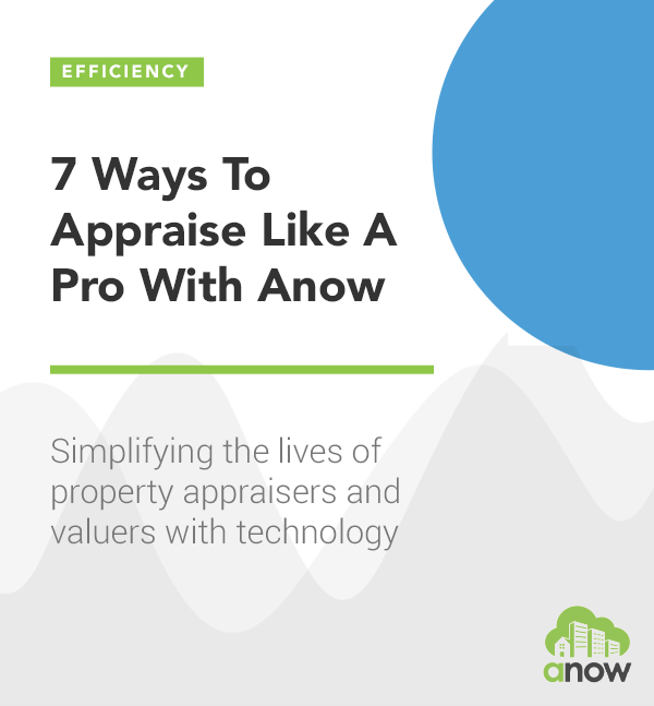7 Ways To Appraise Like A Pro With Anow